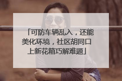可防车辆乱入，还能美化环境，社区胡同口上新花箱巧解难题
