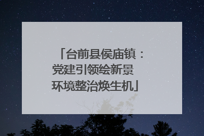 台前县侯庙镇：党建引领绘新景 环境整治焕生机