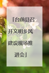 台前县召开文明乡风建设现场推进会