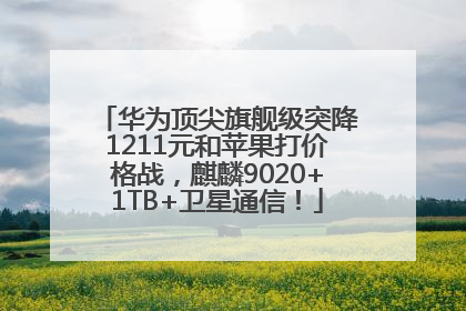 华为顶尖旗舰级突降1211元和苹果打价格战，麒麟9020+1TB+卫星通信！