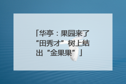 华亭：果园来了“田秀才”树上结出“金果果”