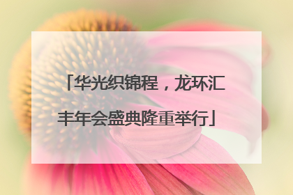 华光织锦程，龙环汇丰年会盛典隆重举行