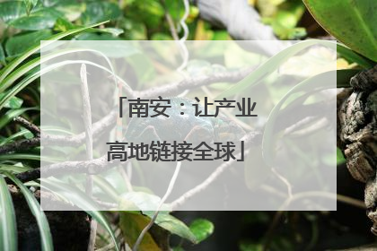 南安：让产业高地链接全球