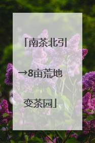南茶北引→8亩荒地变茶园