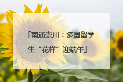 南通崇川：多国留学生“花样”迎端午