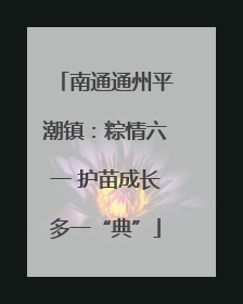 南通通州平潮镇：粽情六一 护苗成长多一“典”