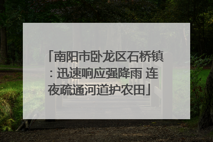 南阳市卧龙区石桥镇：迅速响应强降雨 连夜疏通河道护农田