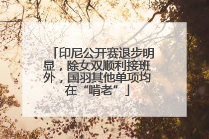印尼公开赛退步明显，除女双顺利接班外，国羽其他单项均在“啃老”