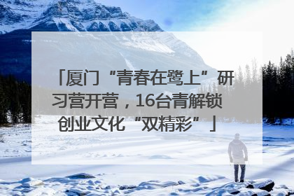 厦门“青春在鹭上”研习营开营，16台青解锁创业文化“双精彩”