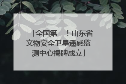 全国第一！山东省文物安全卫星遥感监测中心揭牌成立