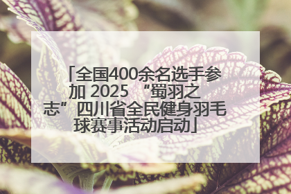 全国400余名选手参加 2025 “蜀羽之志”四川省全民健身羽毛球赛事活动启动