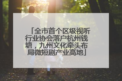 全市首个区级视听行业协会落户杭州钱塘，九州文化牵头布局微短剧产业高地