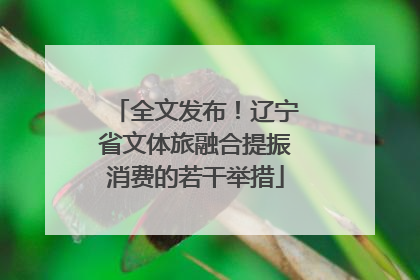 全文发布！辽宁省文体旅融合提振消费的若干举措