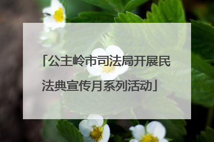 公主岭市司法局开展民法典宣传月系列活动