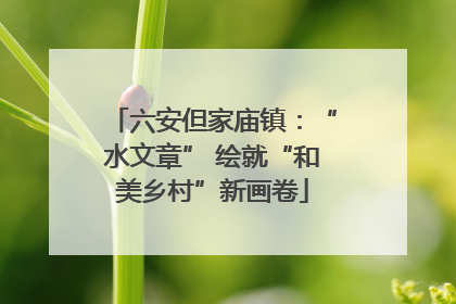 六安但家庙镇：“水文章” 绘就“和美乡村”新画卷