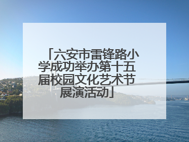 六安市雷锋路小学成功举办第十五届校园文化艺术节展演活动