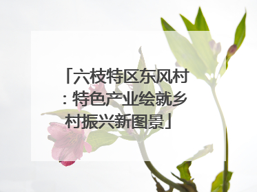 六枝特区东风村：特色产业绘就乡村振兴新图景