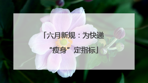 六月新规：为快递“瘦身”定指标