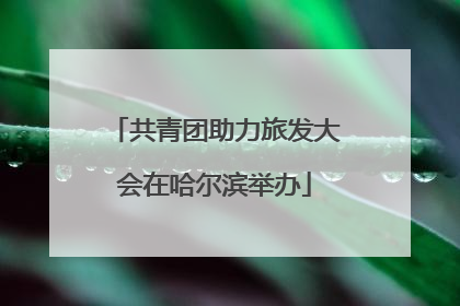共青团助力旅发大会在哈尔滨举办