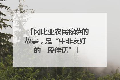 冈比亚农民穆萨的故事，是“中非友好的一段佳话”