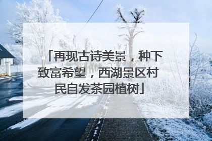 再现古诗美景，种下致富希望，西湖景区村民自发茶园植树