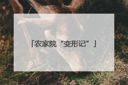 农家院“变形记”