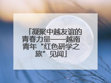 凝聚中越友谊的青春力量——越南青年“红色研学之旅”见闻