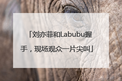 刘亦菲和Labubu握手，现场观众一片尖叫