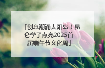 创意潮涌太阳岛！昆仑学子点亮2025首届端午节文化周