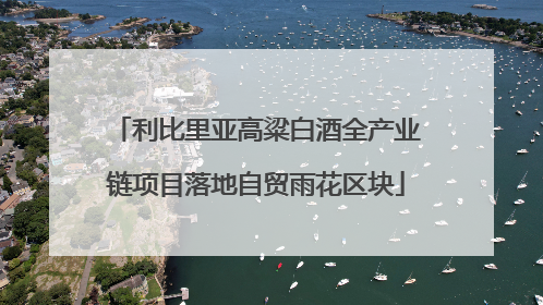 利比里亚高粱白酒全产业链项目落地自贸雨花区块