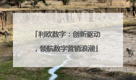 利欧数字：创新驱动，领航数字营销浪潮