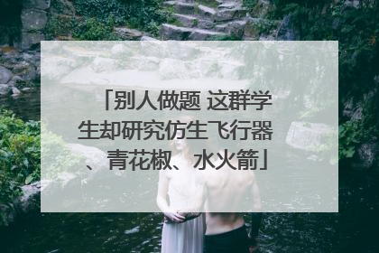 别人做题 这群学生却研究仿生飞行器、青花椒、水火箭