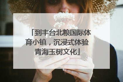 到丰台北粮国际体育小镇，沉浸式体验青海玉树文化