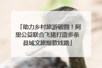 助力乡村旅游破圈！阿里公益联合飞猪打造多条县域文旅爆款线路