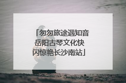 匆匆旅途遇知音 岳阳古琴文化快闪惊艳长沙南站