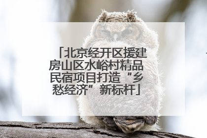 北京经开区援建房山区水峪村精品民宿项目打造“乡愁经济”新标杆