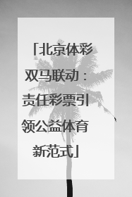 北京体彩双马联动：责任彩票引领公益体育新范式