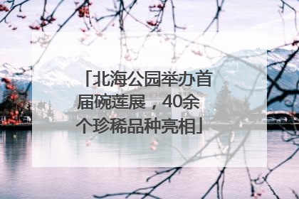 北海公园举办首届碗莲展，40余个珍稀品种亮相