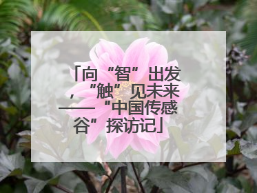 向“智”出发，“触”见未来——“中国传感谷”探访记