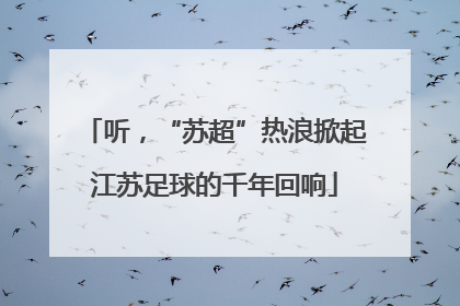 听，“苏超”热浪掀起江苏足球的千年回响