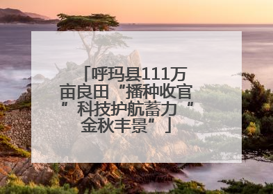 呼玛县111万亩良田“播种收官”科技护航蓄力“金秋丰景”