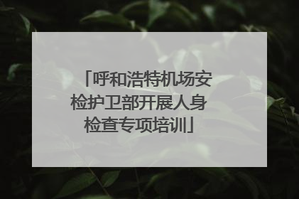 呼和浩特机场安检护卫部开展人身检查专项培训