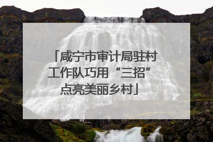 咸宁市审计局驻村工作队巧用“三招”点亮美丽乡村