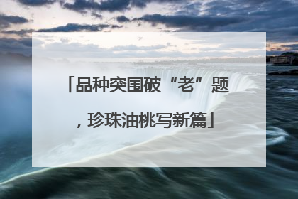 品种突围破“老”题，珍珠油桃写新篇