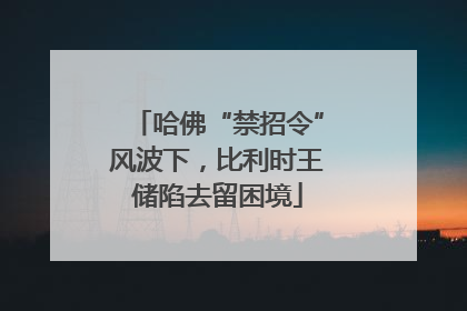 哈佛“禁招令”风波下，比利时王储陷去留困境
