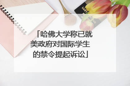 哈佛大学称已就美政府对国际学生的禁令提起诉讼
