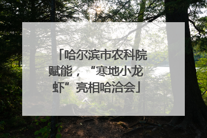 哈尔滨市农科院赋能，“寒地小龙虾”亮相哈洽会
