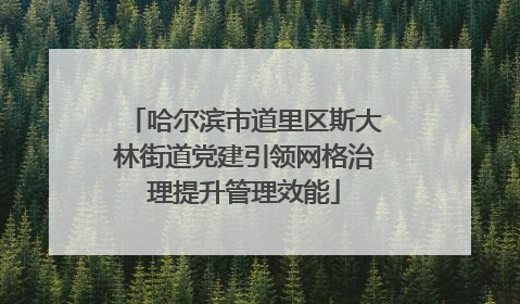 哈尔滨市道里区斯大林街道党建引领网格治理提升管理效能