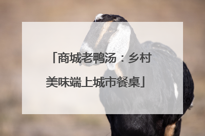 商城老鸭汤：乡村美味端上城市餐桌