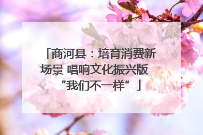 商河县：培育消费新场景 唱响文化振兴版“我们不一样”
